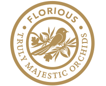 Florious Logo
